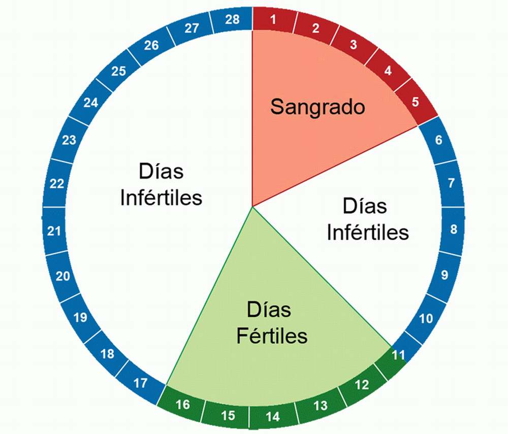 Probabilidad de embarazo en días fértiles 
