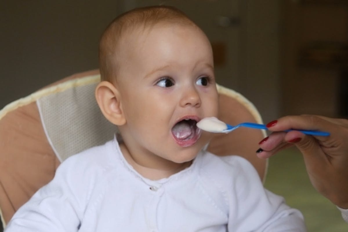 yogurt para bebés
